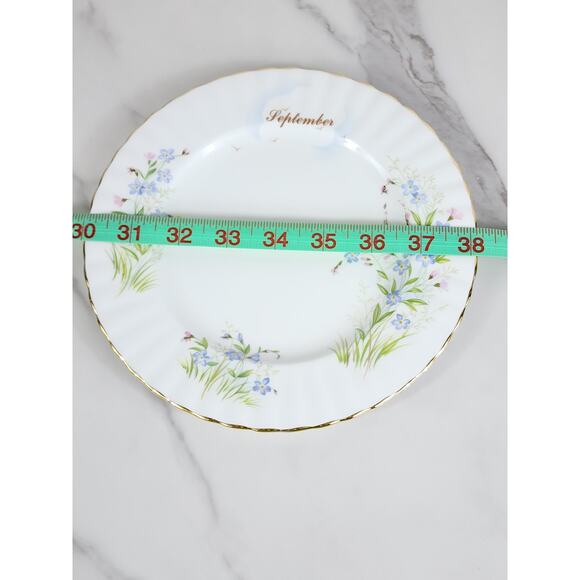 Royal Albert September Forget Me Nots Wild Flower 1987 Bone China 8" Decor Plate - Picture 11 of 11